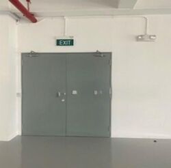 Perfect One (D13), Factory #541625881
